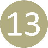 Linie 13