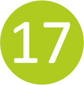 Linie 17